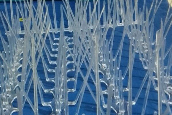 Bird and Pigeon Control Spikes in Bangalore