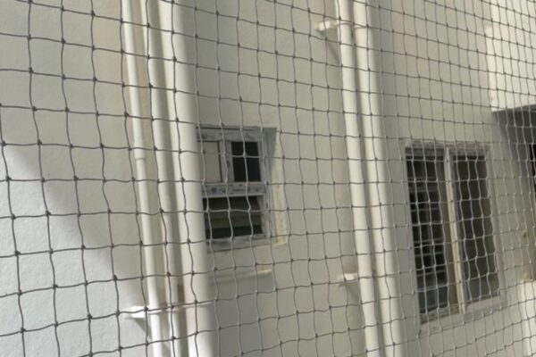 Bird Protection Nets in Bangalore
