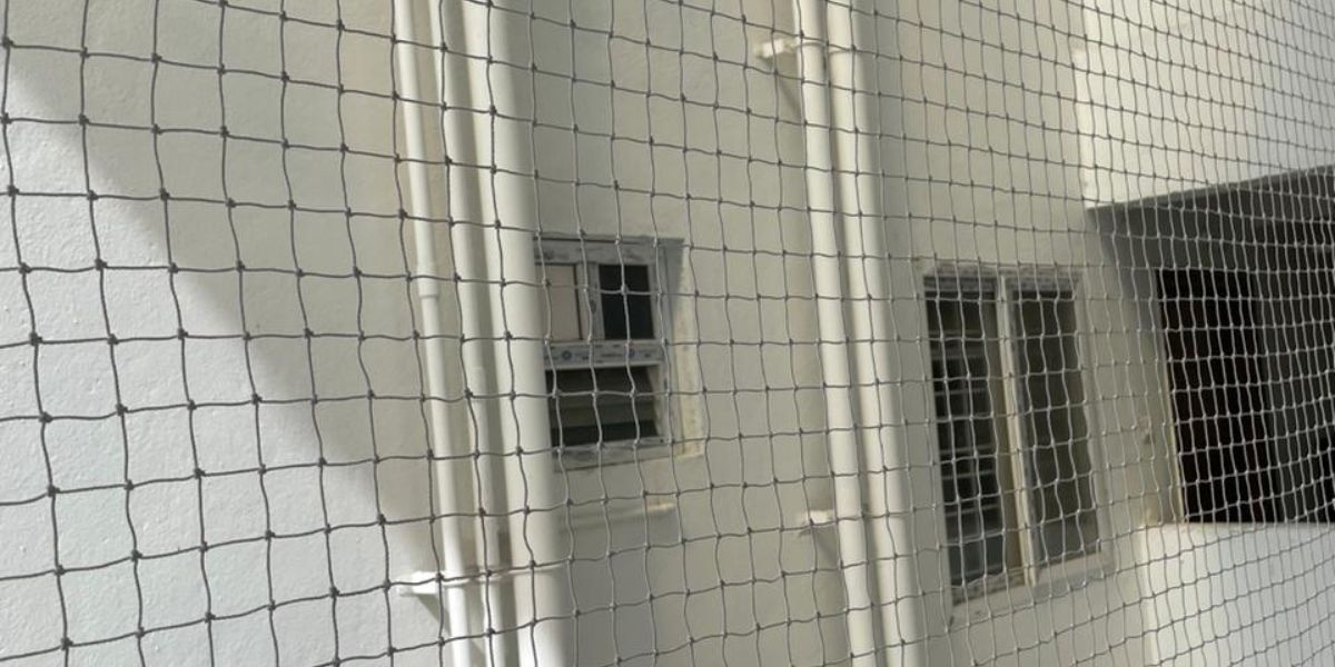 Bird Protection Nets in Bangalore