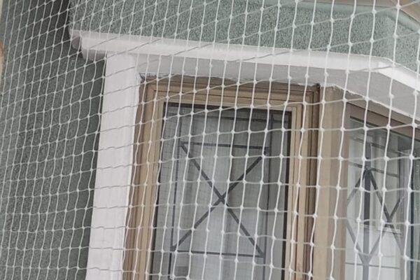 Pigeon Nets Installation in Bangalore